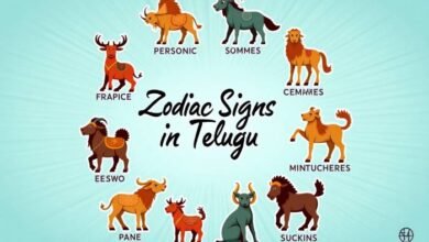 How to Find Your Zodiac Sign in Telugu Astrology