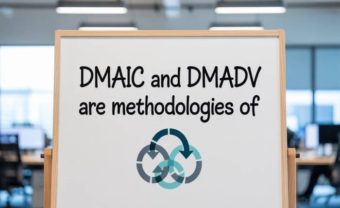 DMAIC and DMADV Are Methodologies of Six Sigma: A Complete Guide