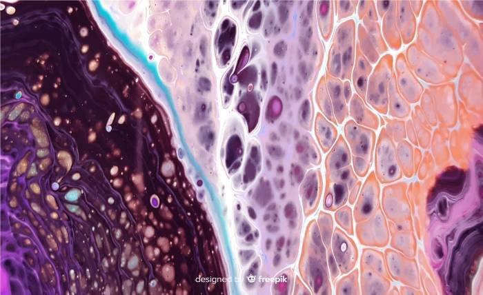 Metaplasia vs Dysplasia: Definitions, Risks, and Treatment Options